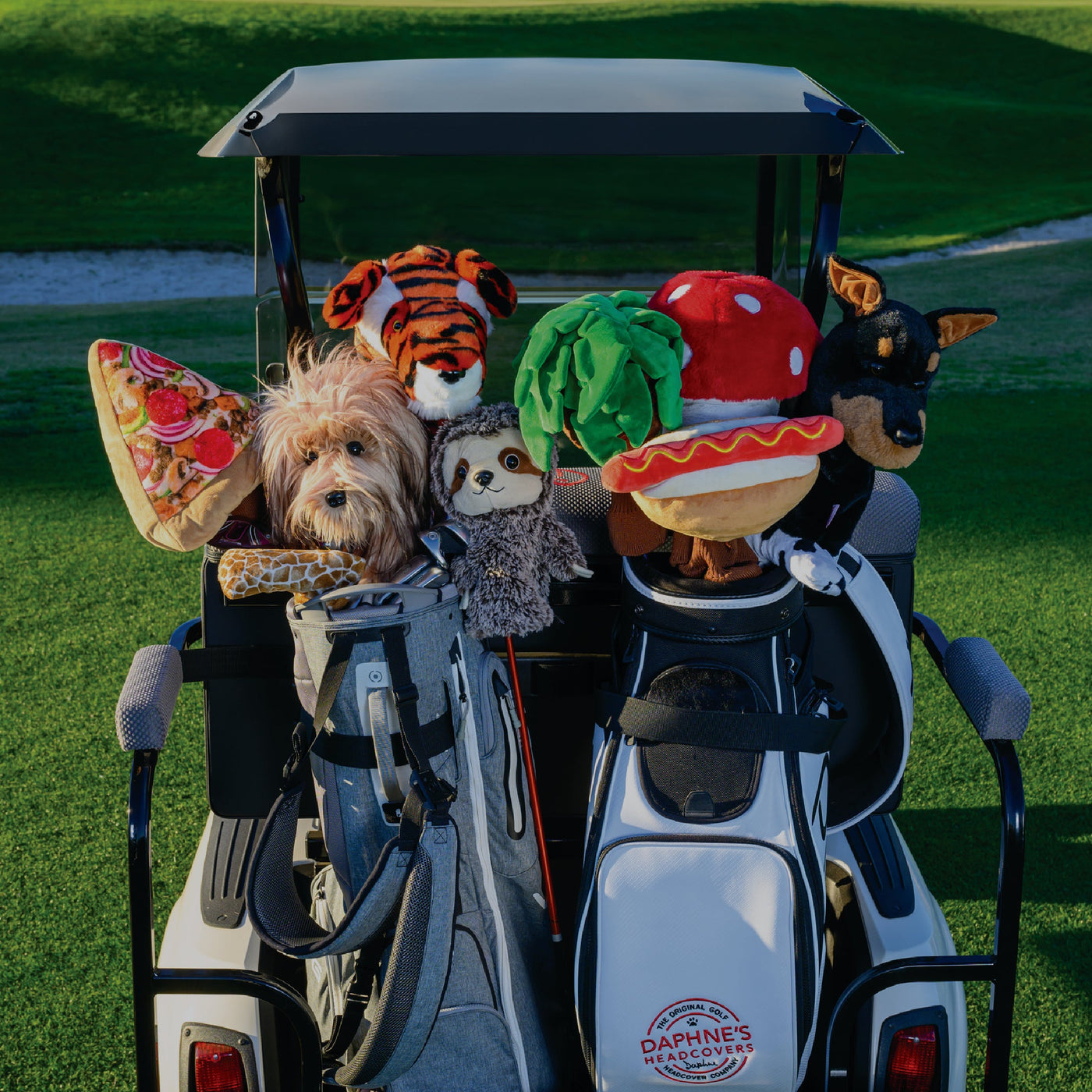 Daphne’s Headcovers