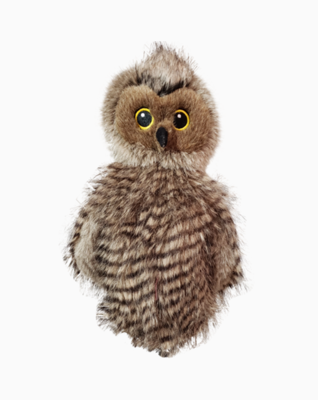 Owl Hybrid