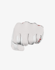 Men's Weather Style Glove