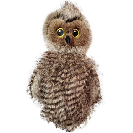 Owl Hybrid
